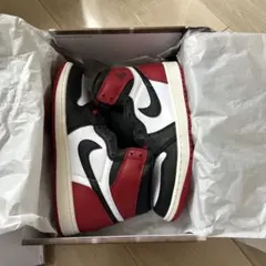 Nike Air Jordan 1 High OG DZ5485-106