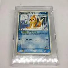 希少　ポケモンカード　プロモ　meiji アクーシャのブイゼルのサムネイル
