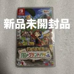 【新品】 Switch 牧場物語 Let's!風のグランドバザール