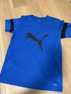 PUMA DRYCELL 青 シャツ　サイズ160