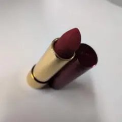Dries Van Noten リップスティック　16スタンリーオレンジ　サテン Dries Van Noten リップスティック 16スタンリーオレンジ サテン