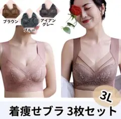レース　3L 3点セット　ナイトブラ　シームレス　着痩せブラ