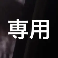 ちゃみする様専用