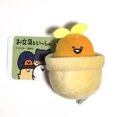 お文具といっしょ 観葉植物マスコットキーチェーン ぬいぐるみ ゼリーさん