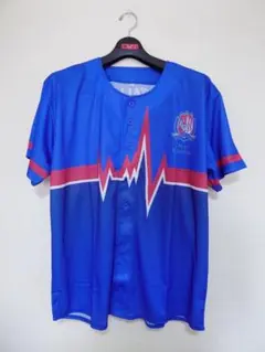 カターレ富山 応援グッズ