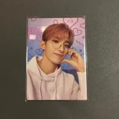 SEVENTEEN セブチ ペンミ LOVE ドギョム トレカ