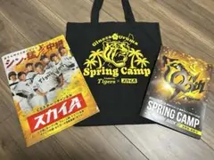 [値下げ]阪神タイガース 沖縄キャンプ限定 トートバッグ黒　スカイAコラボ
