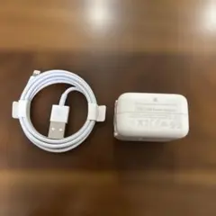 Apple 12W USB Power Adapter & ライトニングケーブル