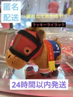 2026年最新】サラブレッドコレクション ぬいぐるみ4の人気アイテム