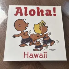 Aloha! Hawaii SNOOPYキャンバス 状態良好 - メルカリ