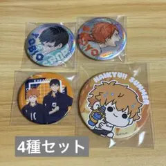 ハイキュー トレーディング缶バッジ ビック缶バッジ 烏野高校 日向翔陽 影山飛雄