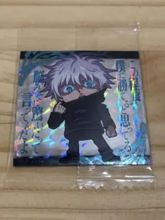 Skara様 リクエスト 2点 まとめ商品