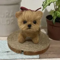 羊毛フェルト犬　ヨークシャーテリア　ヨークシャテリア