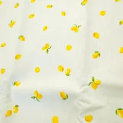 【はぎれ】綿100% 管理番号80