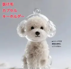 Item thumbnail for item ad954910-b83f-4173-bc4a-6f9c70dab20f