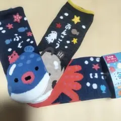 【３足組】海のいきもの　ソックス