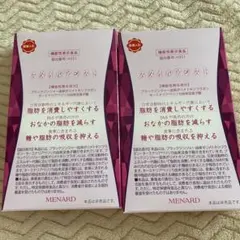 MENARD メナード スタイルアシスト 2個セットのサムネイル