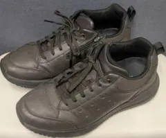 Item thumbnail for item afde286a-fb00-41f6-8e90-6fcde36bdc9b