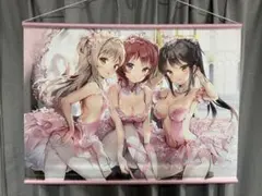 メガネ少女 Anmi フラミンゴバレエ団 B2 タペストリー