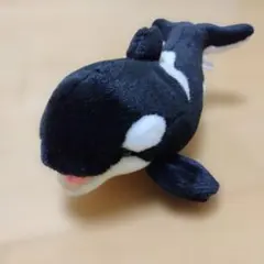 シャチ ぬいぐるみ