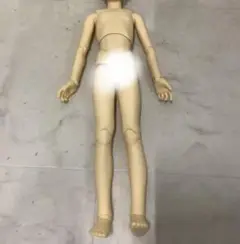 ボークス スーパードルフィー SDC 男の子ボディ ノーマル肌