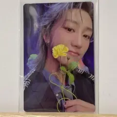 seventeen THE8 トレカ