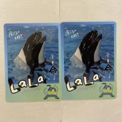 鳥羽水族館　コレカ　10パックセット　70周年記念　メイキラ　セレナ　チェキ風 鳥羽水族館 コレカ 10パックセット 70周年記念 メイキラ セレナ