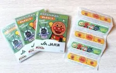 アンパンマン 絆創膏 10枚入×3袋