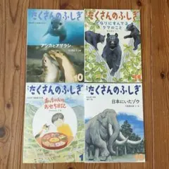【希少/絶版】たくさんのふしぎ 40冊セット 2025年最新】たくさんのふしぎの人気アイテム - メルカリ
