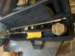 Item thumbnail for item b09dcc55-ff0a-460b-a06d-12922a4696b1