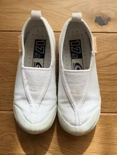 Item thumbnail for item 921fff6d-6fe2-4d00-a691-4415e12a1d52