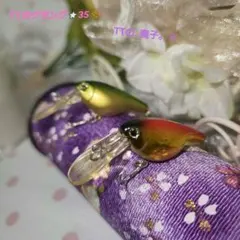 TTのクランク⭐35✨️のサムネイル