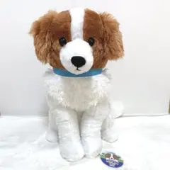 コーイケルホンディエ　おでこちゃん　ぬいぐるみ　デコピン　犬　可愛い♡