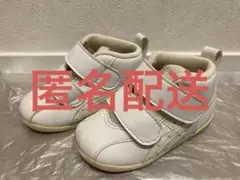 Item thumbnail for item 9da506ed-d2b4-4c3b-bdd8-d7b591fb4106