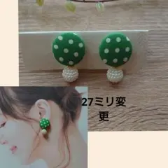 さこ様専用ページです❁蝶ばねイヤリング変更