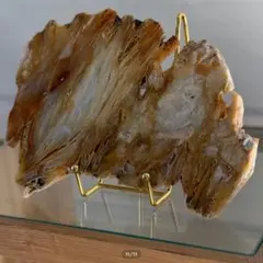 【瑪瑙】アゲート スライス シリカ化 カルセドニー × セレナイト