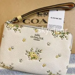 美品✨ コーチ COACH ポビー ウィズ チェーンショルダー リップ