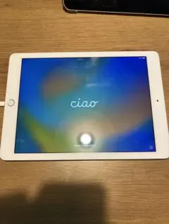 2025年最新】iPad Pro 9.7 256gbの人気アイテム - メルカリ