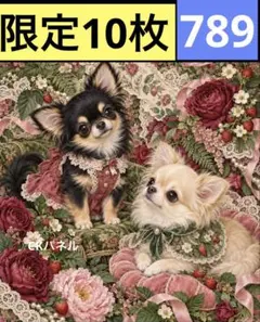 限定10枚！　犬 レアパネル生地　無くなり次第終了です