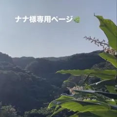【ナナ様専用】やんばるの自然の土　お見積もりぺージ