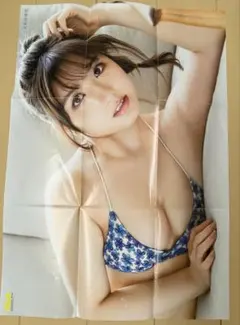 Item thumbnail for item 5a6047b9-17f2-4d20-9864-05b39c59549e