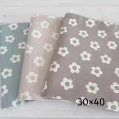 ハンドメイド　30×40 ランチョンマット３枚セット　女の子　小学生　給食