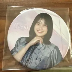 Item thumbnail for item 588f0b4d-58e2-49ad-839c-1ee7bea9c4df