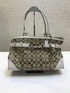 Item thumbnail for item 9f68f8aa-f6e7-4647-8644-c6f298c1d5df