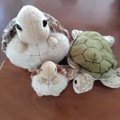 水族館いろいろ　かめ　ぬいぐるみ