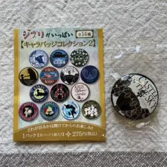 2026年最新】ジブリ ピンバッチの人気アイテム - メルカリ