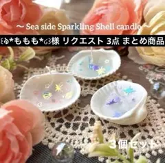 ꒰ঌ*ももも*໒꒱様 リクエスト 3点 まとめ商品