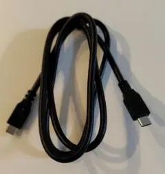 USBケーブル Type-C to C モニタ出力可