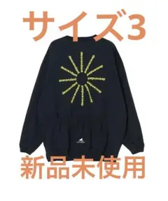 WHEELING POCKET LS - 252ATDS-CSM19のサムネイル