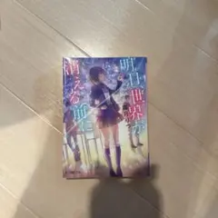 明日、世界が消える前に